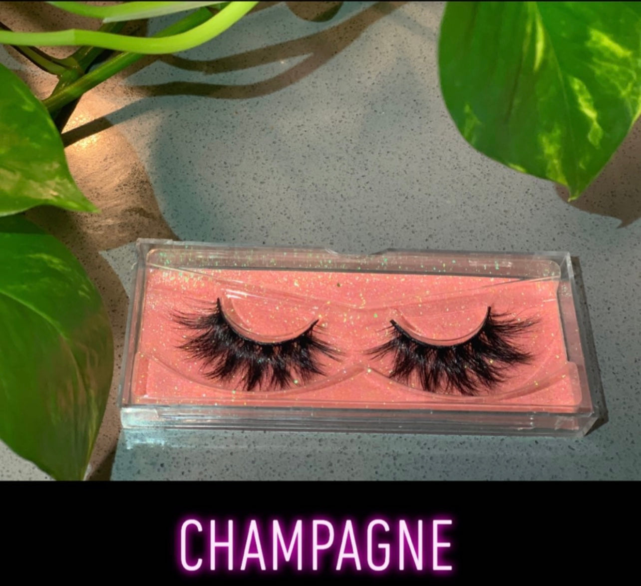 Champagne